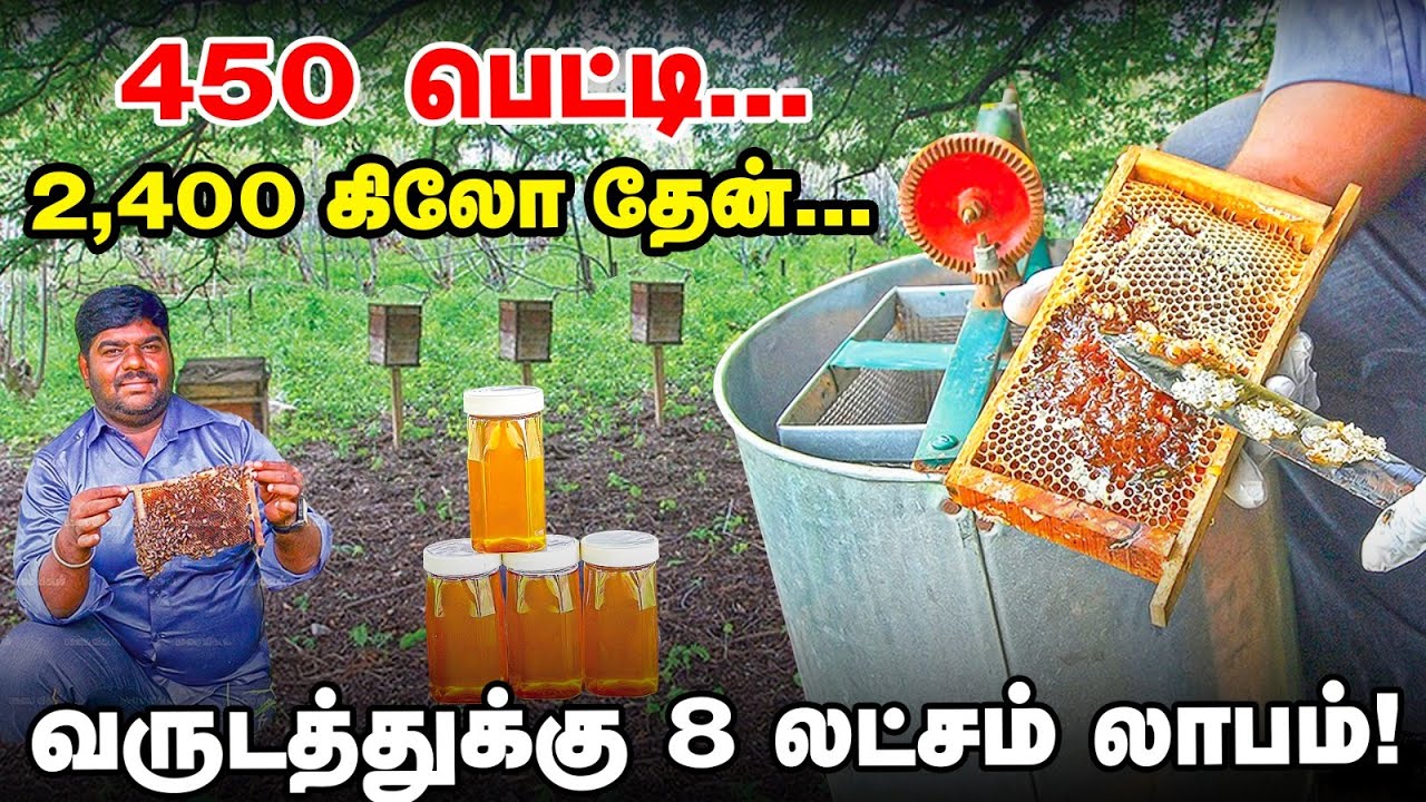 5 ஏக்கரில் முருங்கைத் தேன்... வருடத்துக்கு 8 லட்சம் லாபம் | Moringa honey Making | Pasumai Vikatan