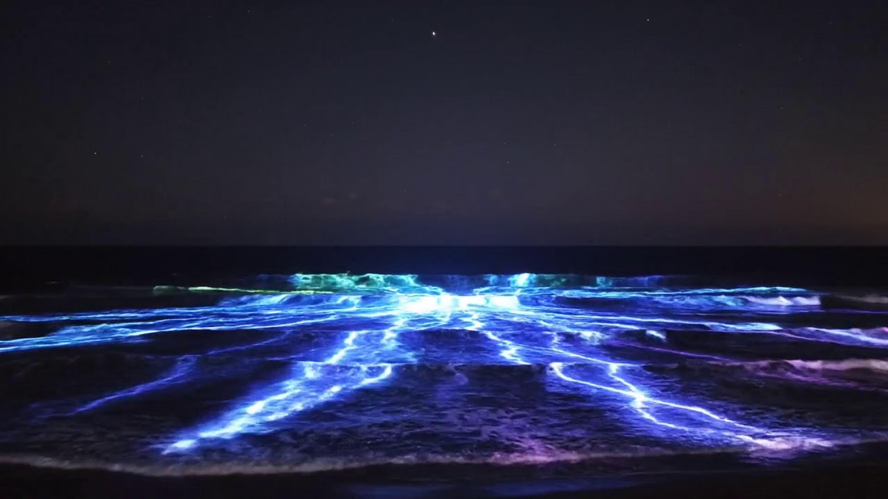 🌌 Stellar Trance Awakening | Cosmic Melodic Uplift Live