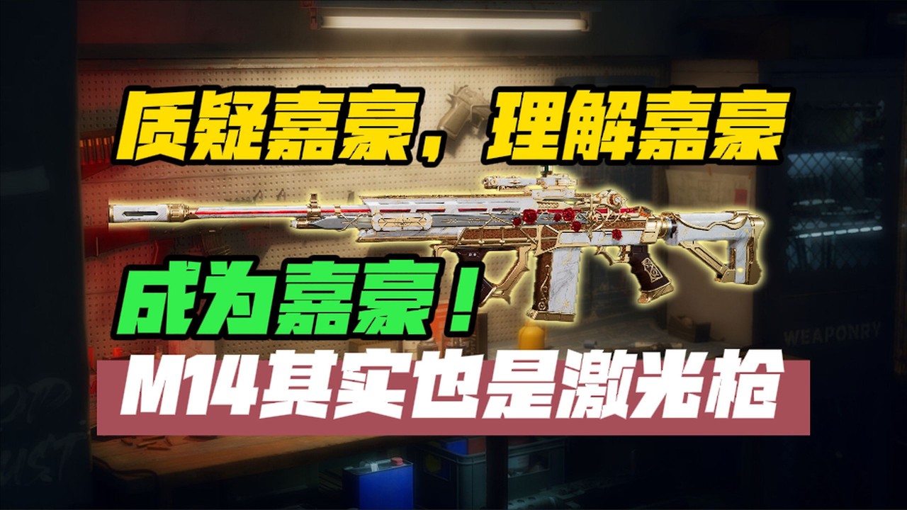 【三角洲行动】你知道M14有几种改法吗？火控14、丐版14、嘉豪14……【M14改枪焚诀】