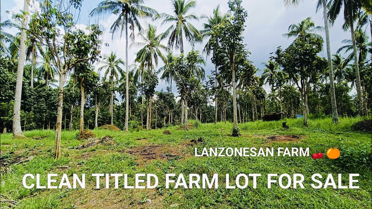 #Vlog319 LANZONESAN & NIYOGAN | FARM LOT CLEAN TITLED FOR SALE ❗SOLD❗