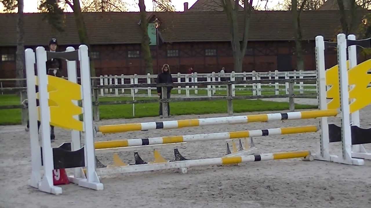 Hunter club 1 - Haras de Jardy