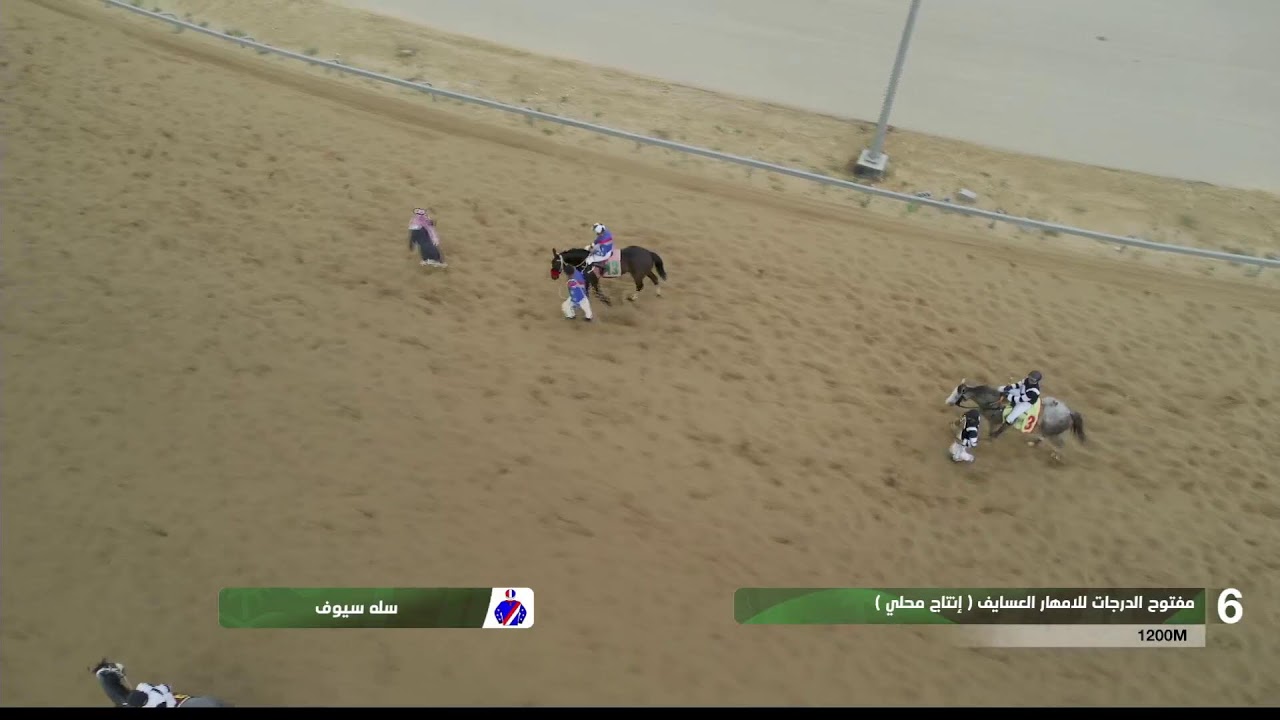 الحفل الـ 18 لموسم سباقات  1446هـ  #ميدان_الملك_سعود