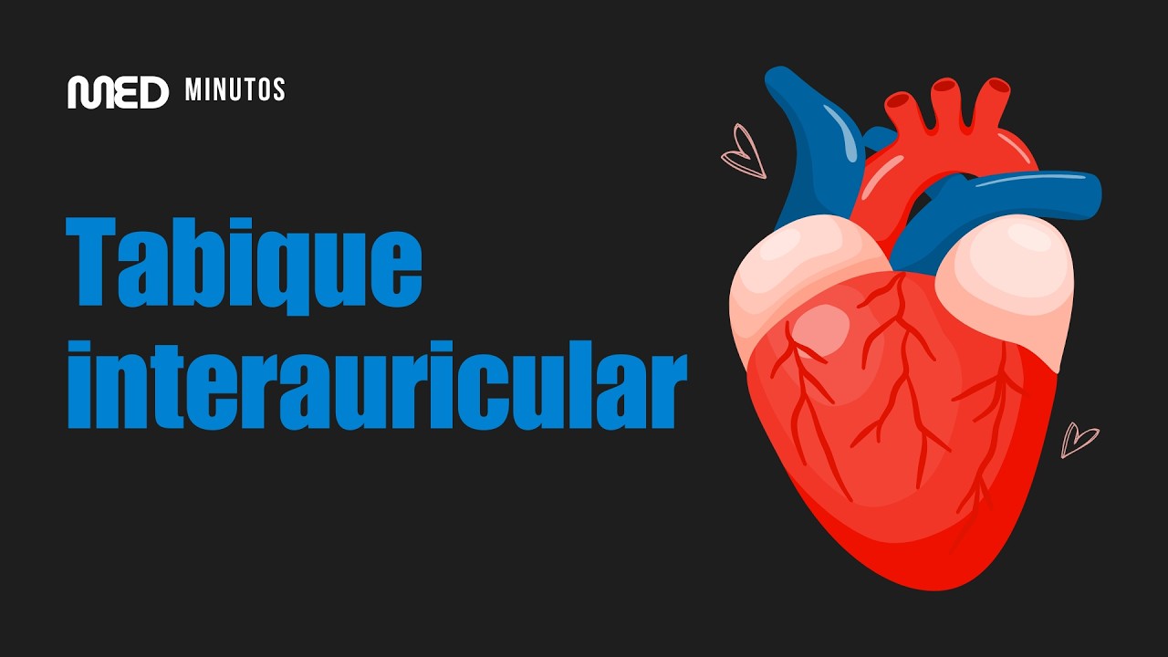 Tabique interaurícular I Anatomía, embriología, histología y estudio de imágenes