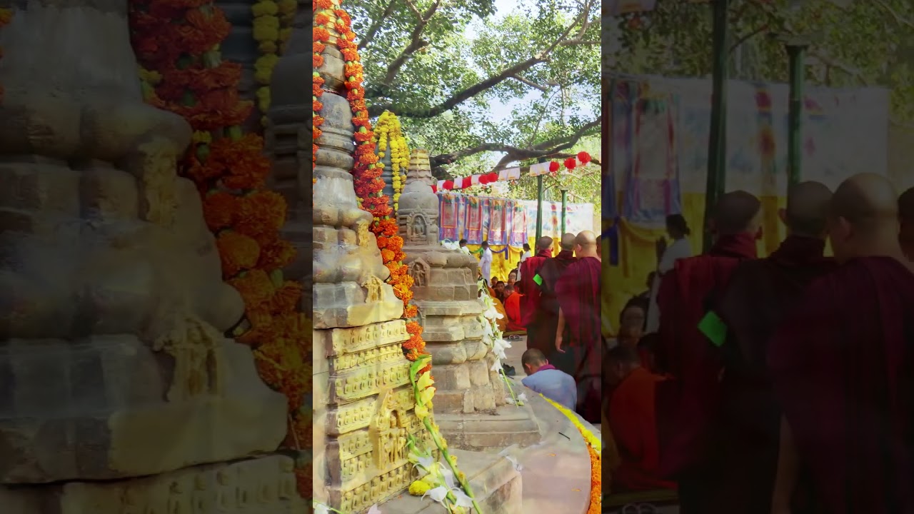 Destruction of Nalanda University #Shorts