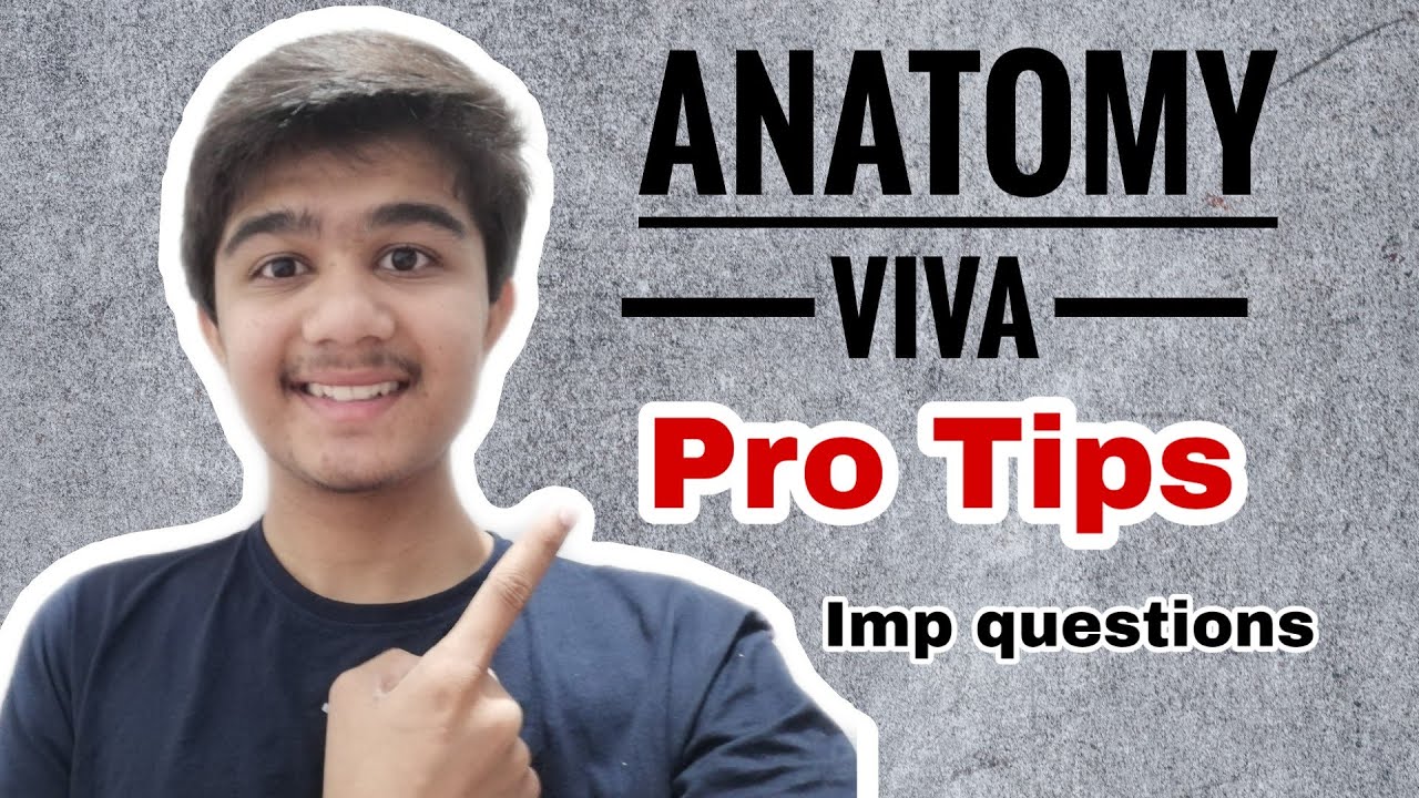 Anatomy Viva Pro Tips | How To Read Anatomy | Medico Darshil
