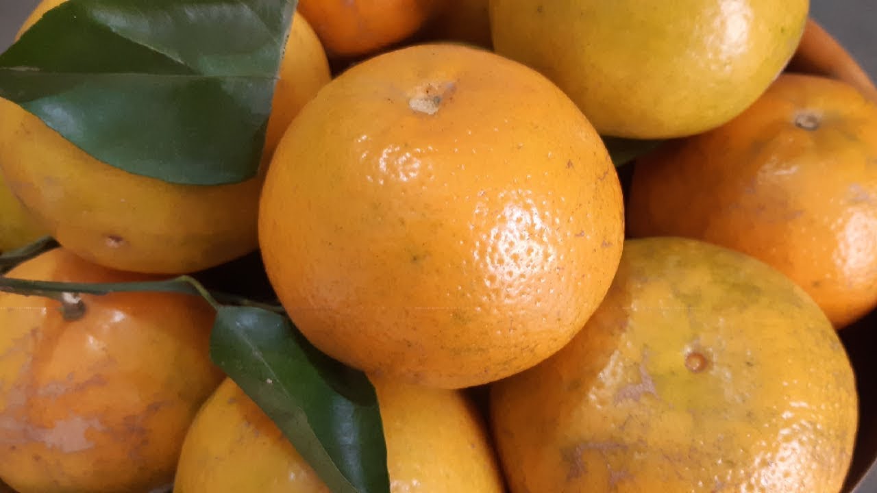 कीनू का जूस बनाने का बेहद आसान तरीका  | How to make Fresh Kinnow juice at home