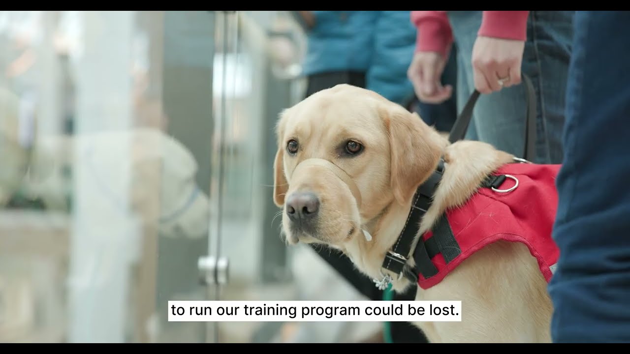 Dog Guides PSA
