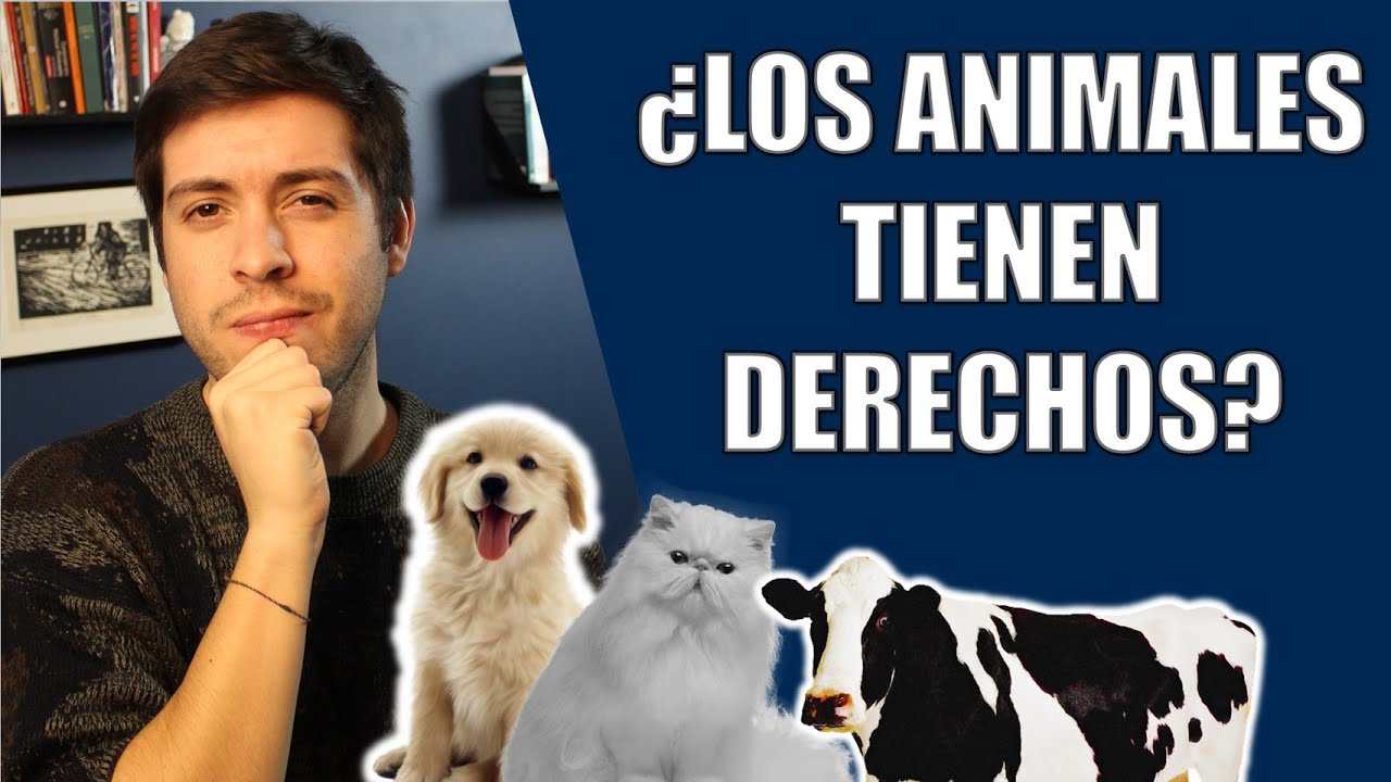 Abogado Explica Derechos de los Animales Chile