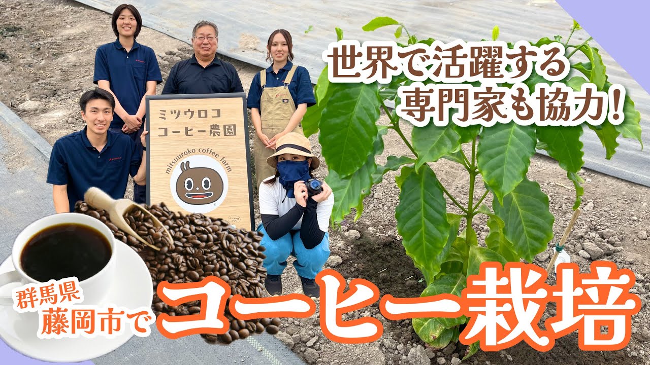 スペシャリティコーヒー豆の栽培に挑戦！スマート農業ハウスを取材しました