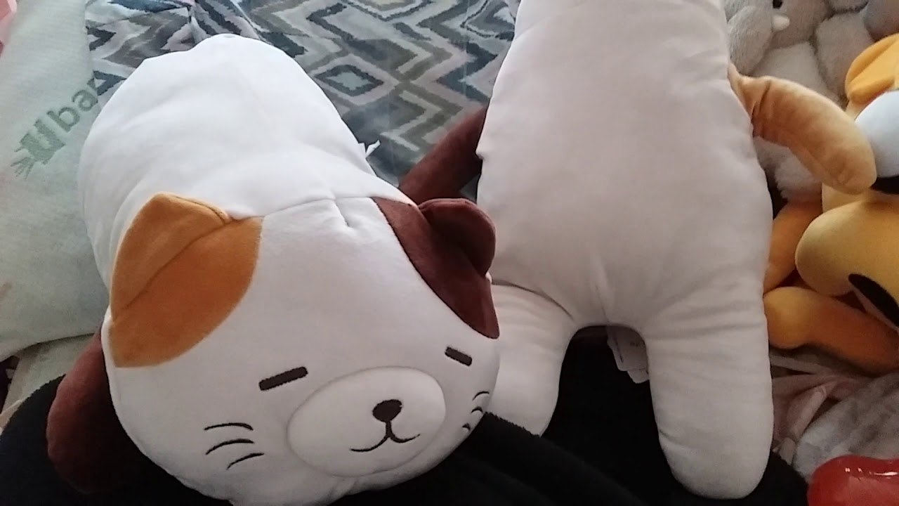 Cat Plushies (from miniso)