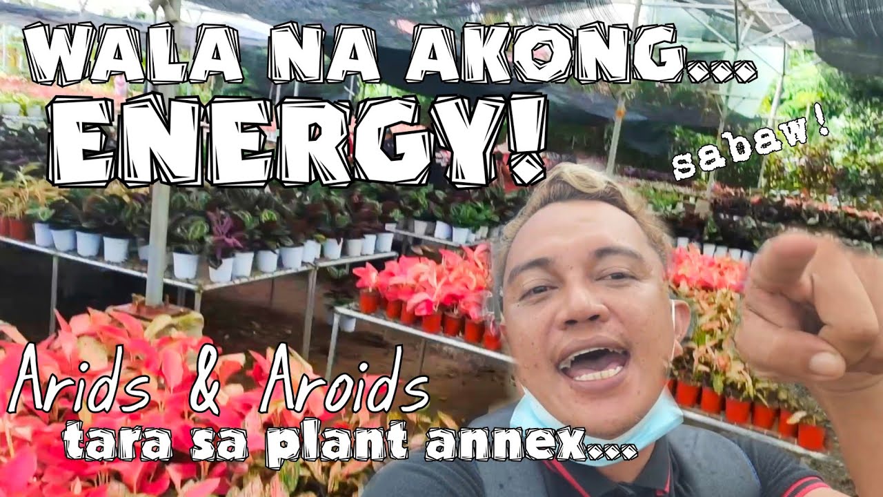 LET'S GO TO THE PLANT ANNEX (RESELLERS MARKET OF ARIDS AND AROIDS)| PLANT IDOL TOUR