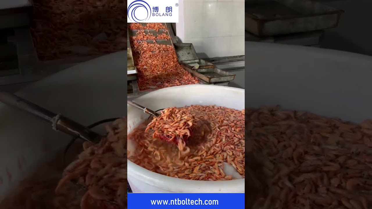 Shrimp processing freezing frozen tunnel freezer-BOLANG Refrigeration