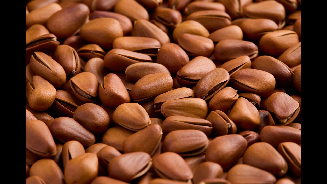 商业摄影简易产品布光 把松子拍成壁纸