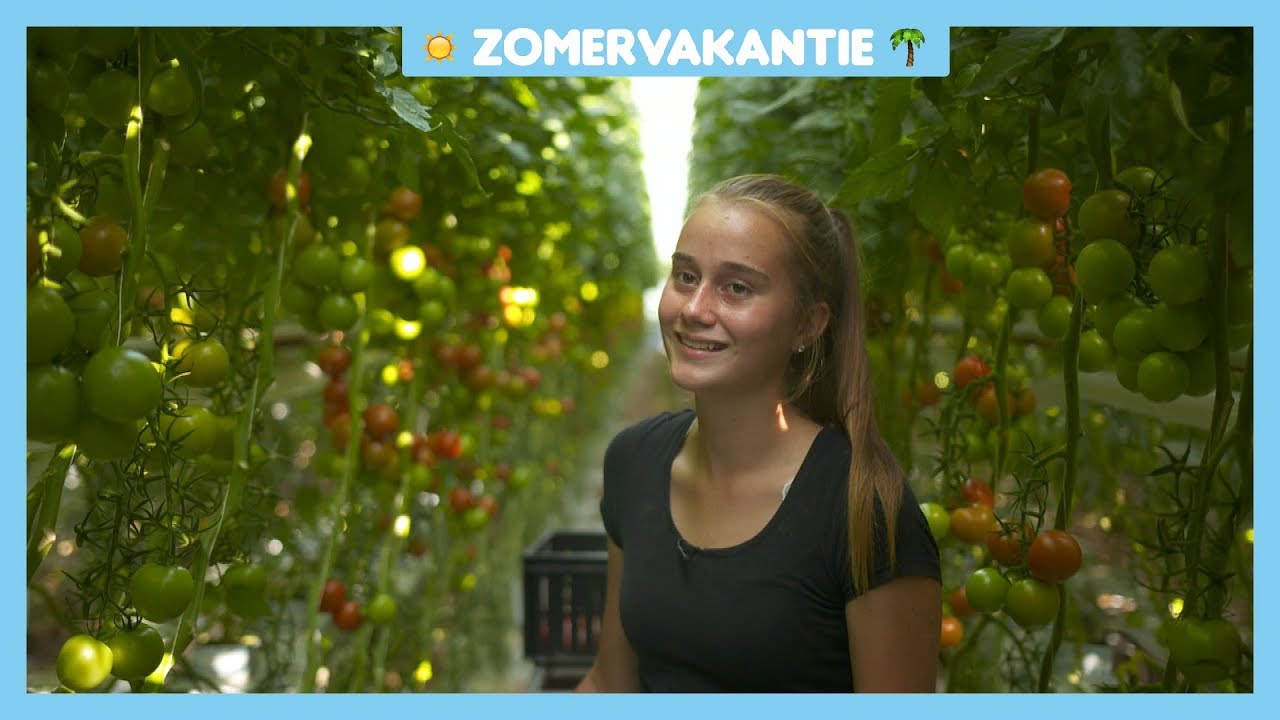Veel kinderen werken in de vakantie