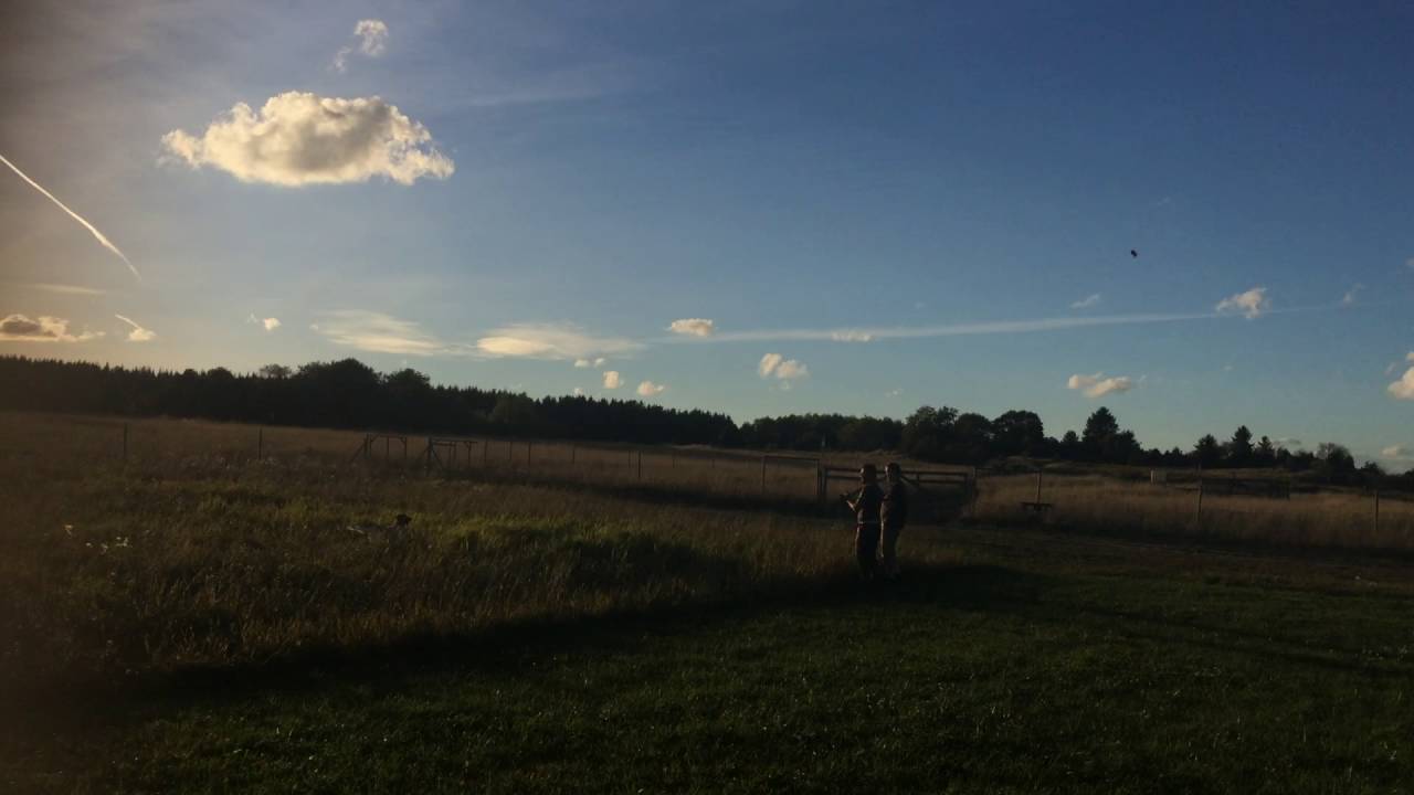 Vilde 22 veckor L&aring;ngtora 2