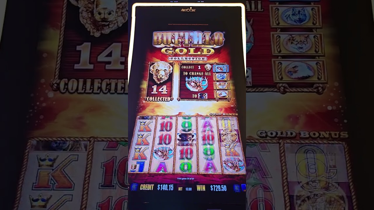 Buffalo win hand pay all the buffalo's and many many spins
