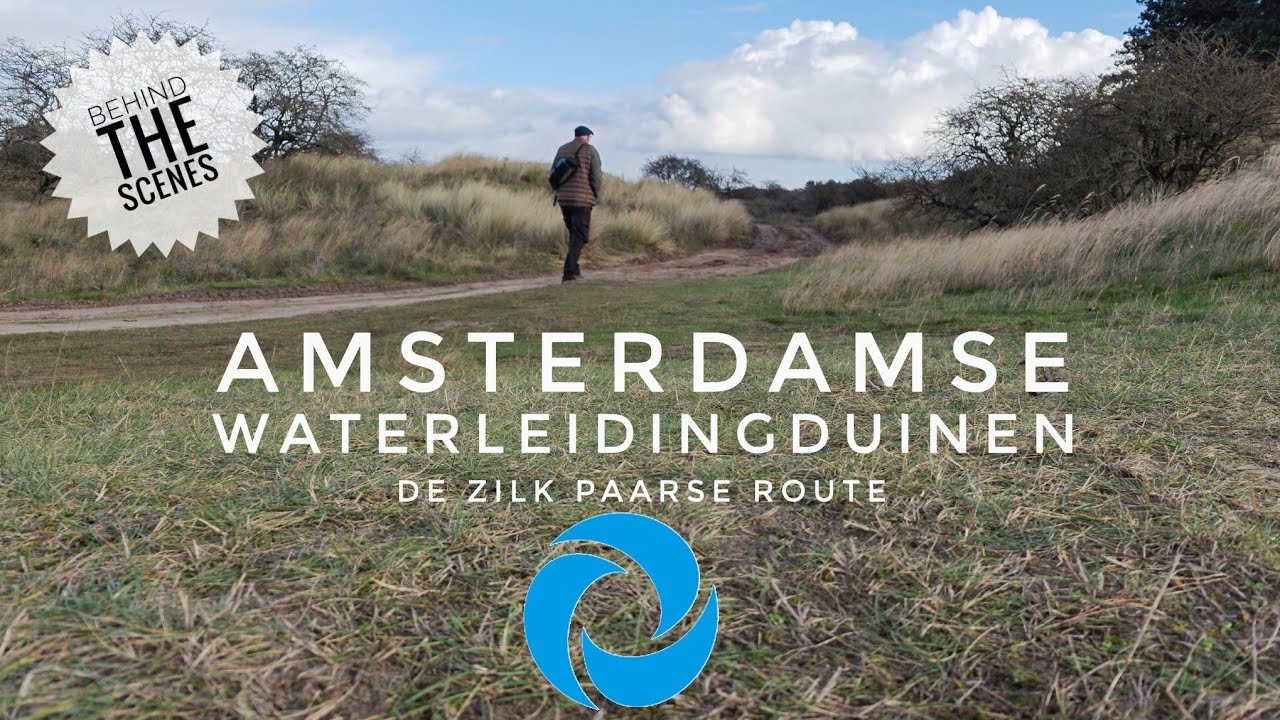 De Zilk paarse route Amsterdamse Waterleidingduinen