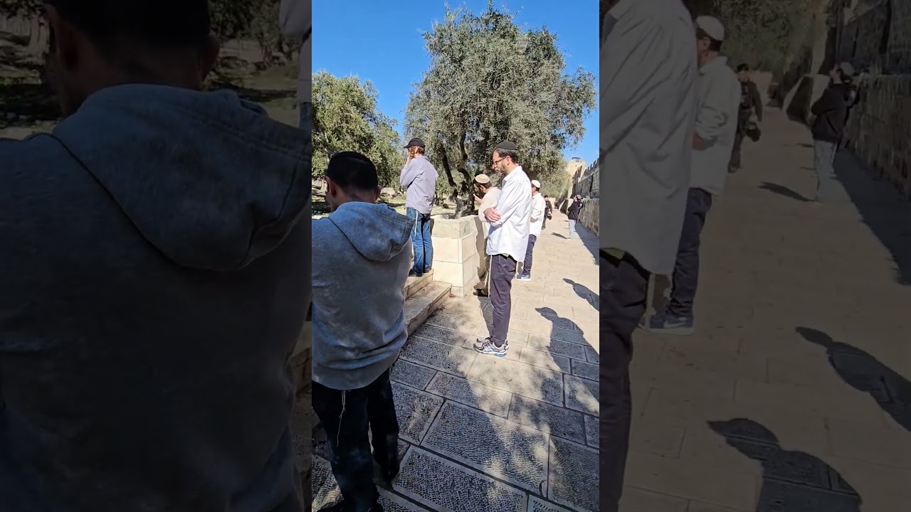 מזבח חדש בציון תכין. מוסף ראש חודש בהר הבית