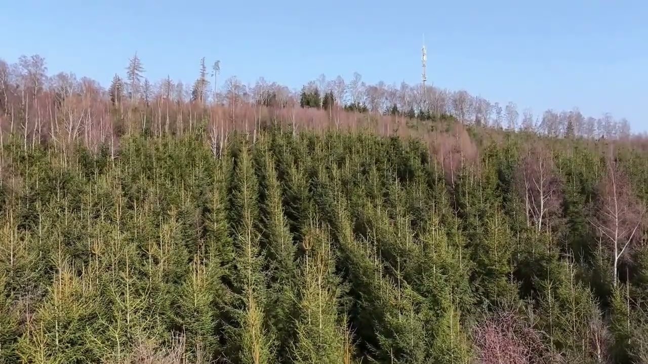 Hönnetal 