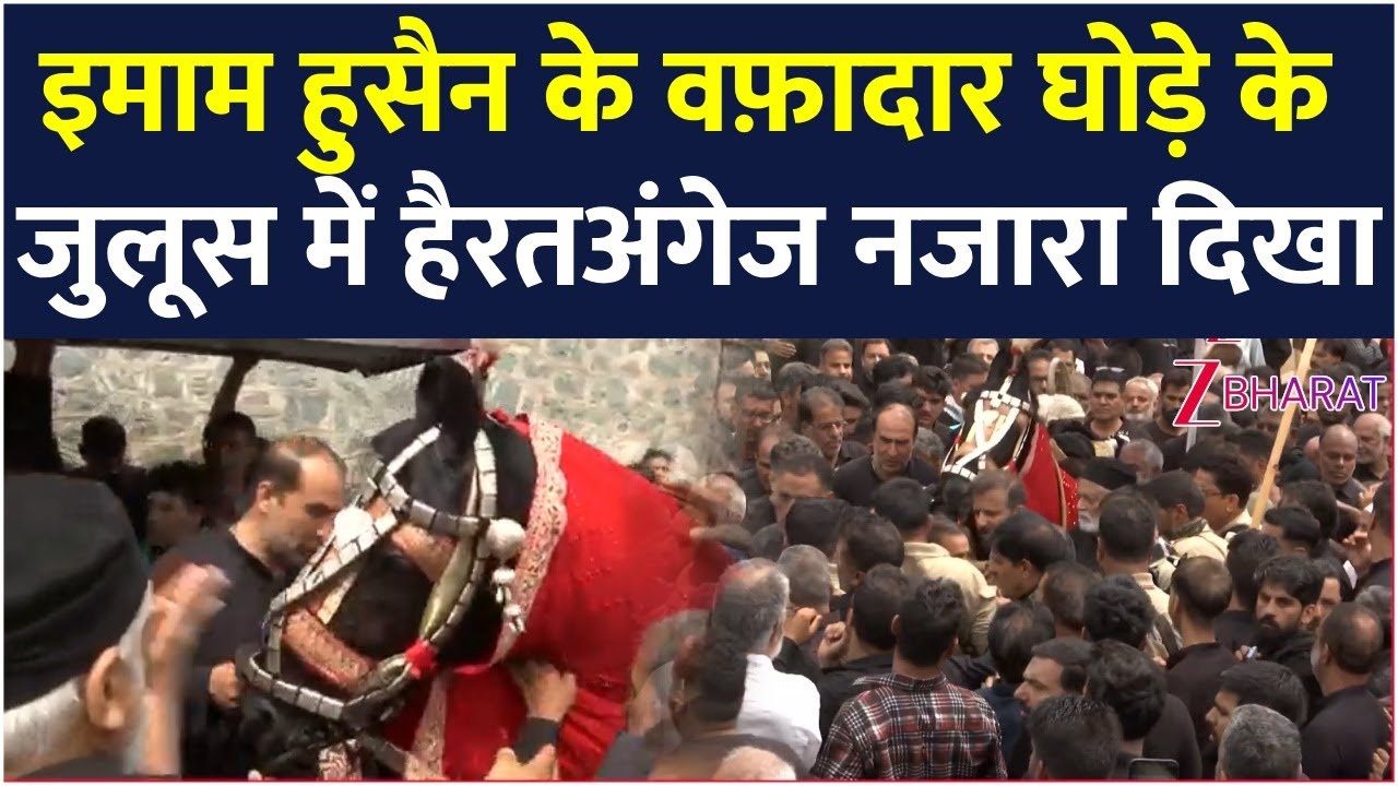 Srinagar की सड़कों पर ज़ुलजनाह का मातम, देखें इमाम हुसैन के वफ़ादार घोड़े का ऐतिहासिक जुलूस