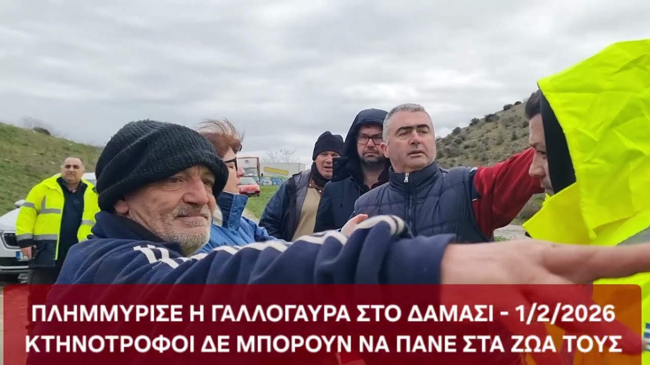 ΠΛΗΜΜΥΡΙΣΕ Η ΓΑΛΛΟΓΑΥΡΑ -ΔΑΜΑΣΙ 1/2/2026 - ΣΕ ΑΠΟΓΝΩΣΗ ΚΤΗΝΟΤΡΟΦΟΙ ΔΕΝ ΜΠΟΡΟΥΝ ΝΑ ΠΑΝΕ ΣΤΑ ΖΩΑ ΤΟΥΣ 