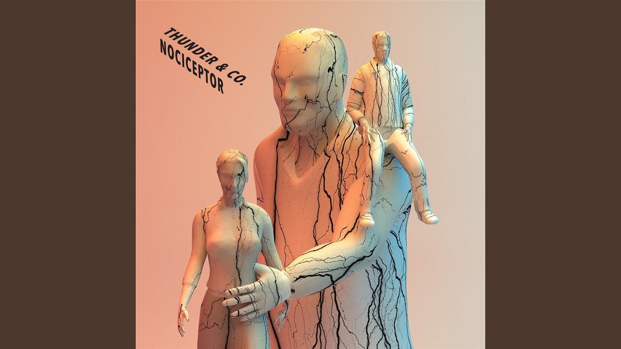 Nociceptor
