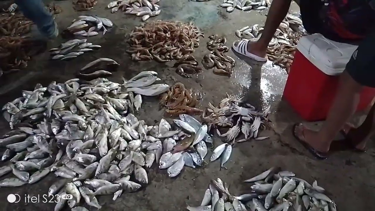 Maraveles bataan public market bolongan