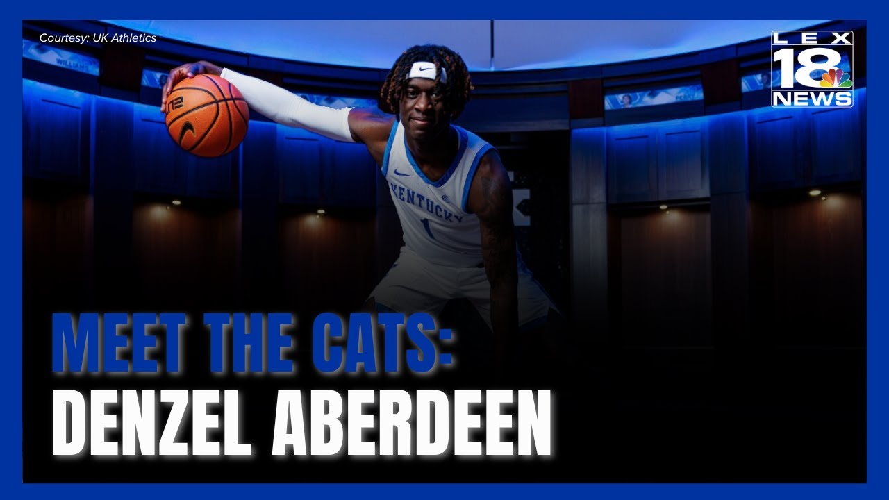 Meet the Cats: Denzel Aberdeen