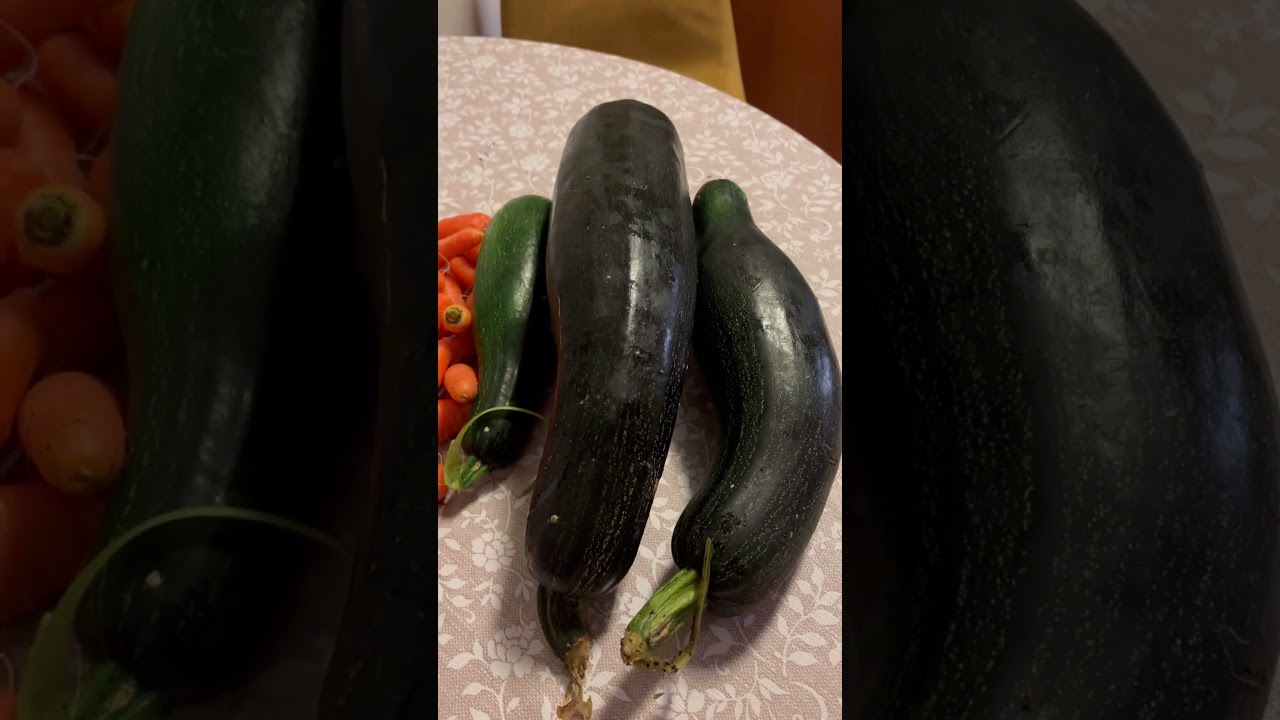 Carrots #squash #vegetables #Garden#shortvideo #norway #bisayavlog