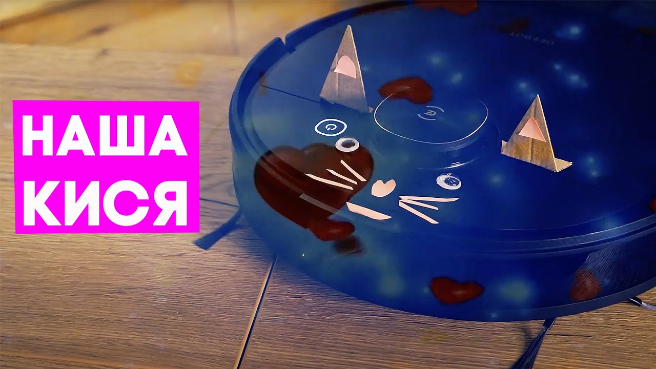 Завели офисную кисю!