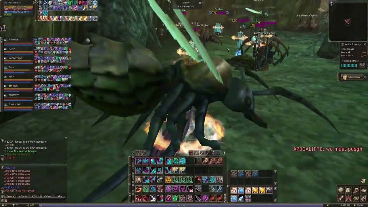 PVP QUEEM ANT, ORFEM