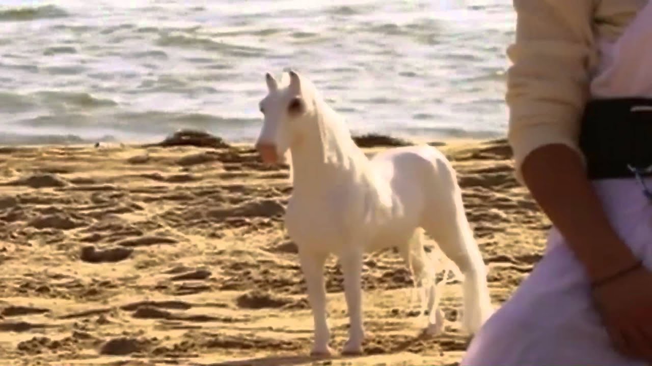 Tester in a nutshell 5 - no JTight no Ninja make Holden something something