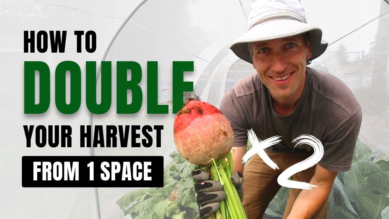 Grow More Food in Less Space Using Relay Planting