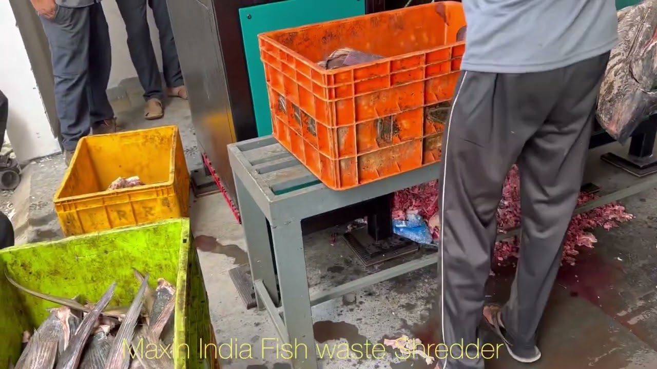 Fish Head Shredder, Fish Waste Grinder, Fish Waste Crushing, #FishWasteShredder, #FishHeadShredding,