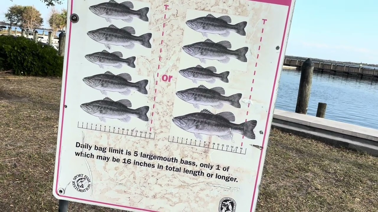 Recorriendo el parque de el centro de Kissimmee Florida.parte I 