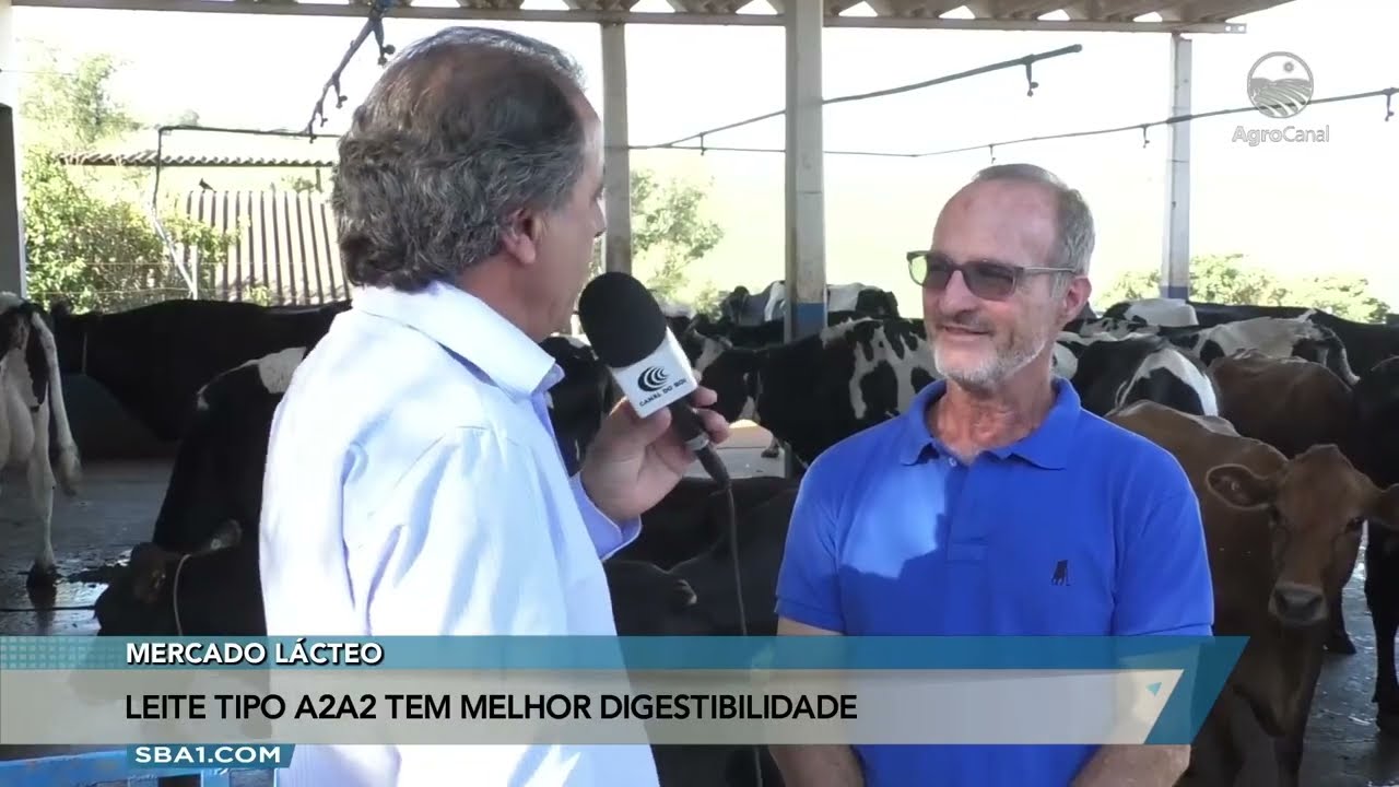 Leite A2A2 tem melhor digestibilidade