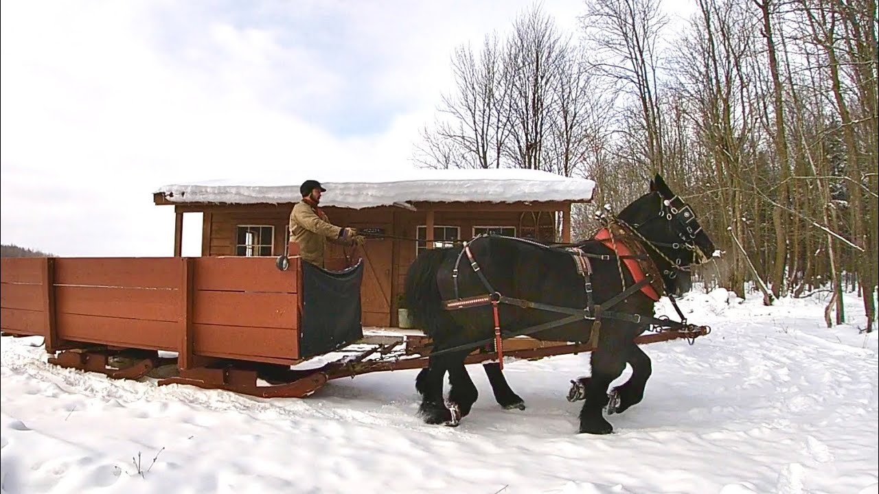 Taking a Sleigh Ride/ Cleaning Off the Pond