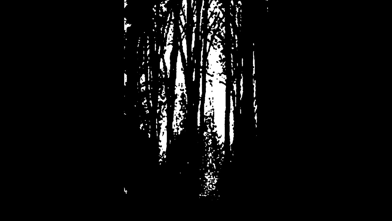 Druadan Forest - Druadan Forest (1998 , Dungeon Synth)