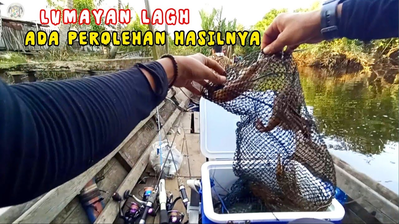 Pertama Mancing Di Awal Tahun 2026‼️Langsung Panen Udang Galah Babon 
