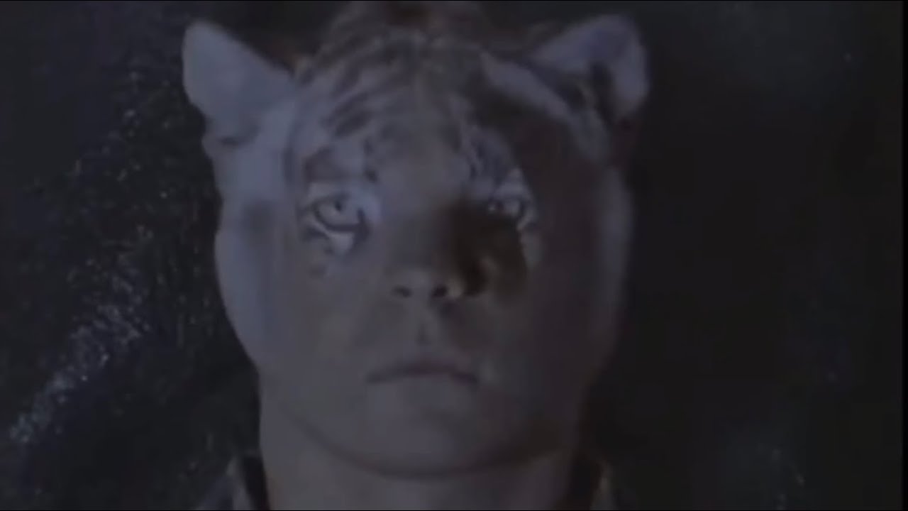 1998 Animporphs Tv Series on VHS Commercial