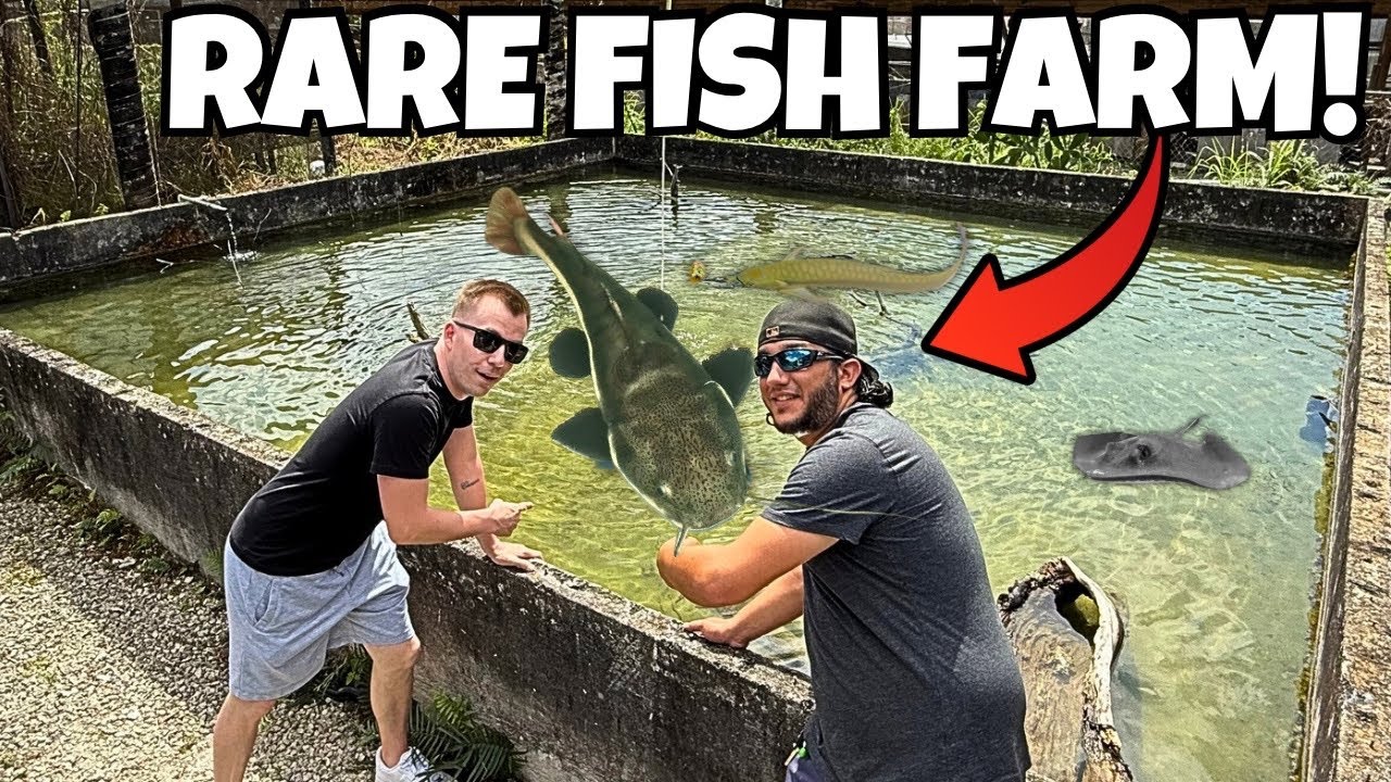 I FOUND THE BEST FISH FARM IN AMERICA! - Full Tour!