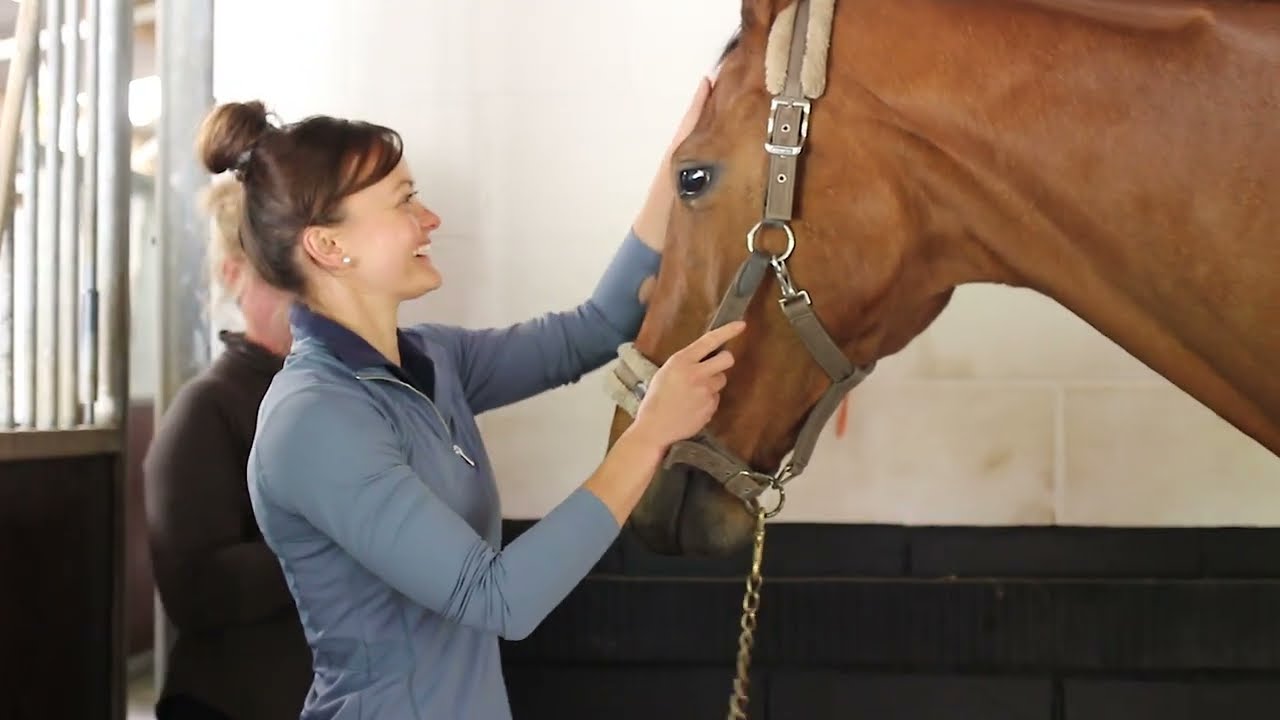 Nika Vorster- The Empowered Equestrian