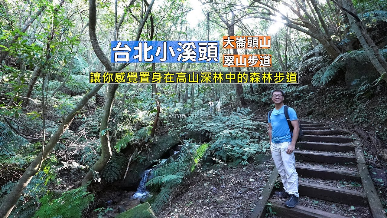 台北小溪頭讓你感覺置身在高山深林中的森林步道，帶你從士林翠山步道走到內湖碧山巖健行路線