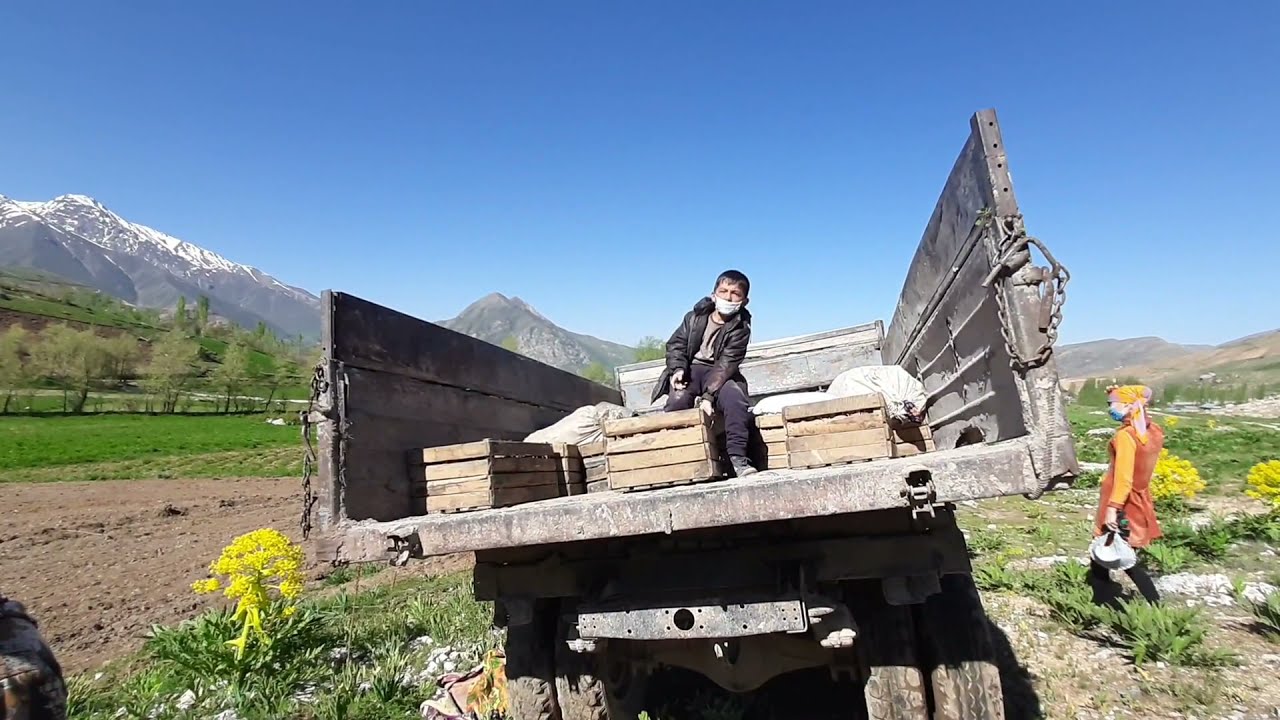 Yaqinda ijodiy jamoamiz bilan Qashqadaryo viloyati Shahrisabz tumanining G‘elon qishlog‘iga bordik