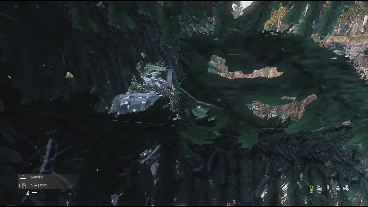 DayZ_20241102232610