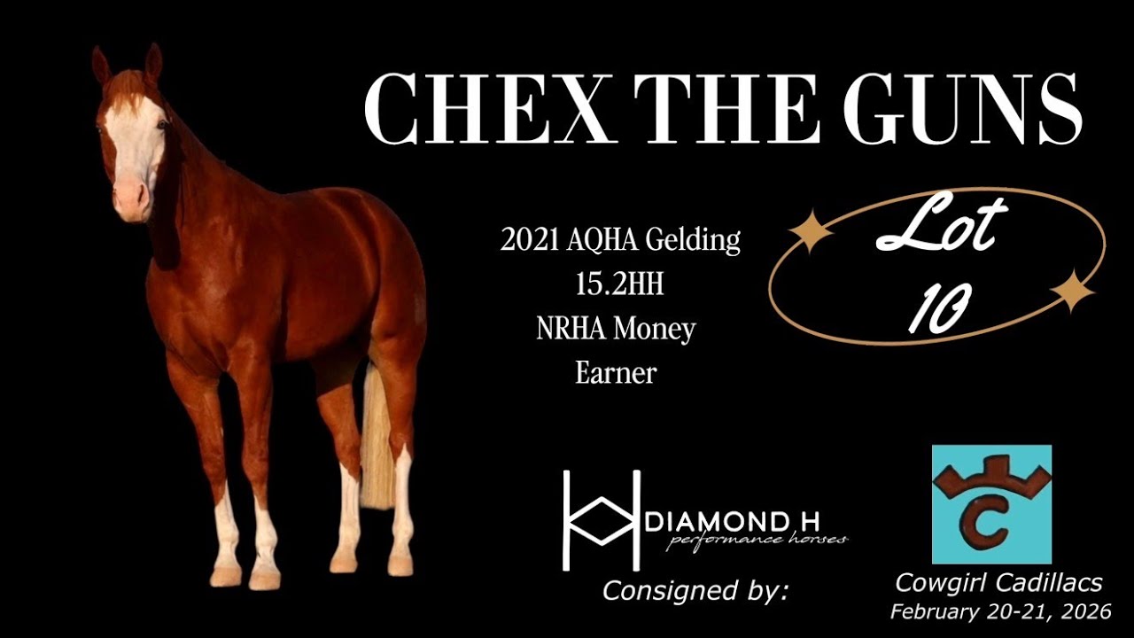 Chex The Guns Long Video Consigned to Cowgirl Cadillacs February 20-21, 2026