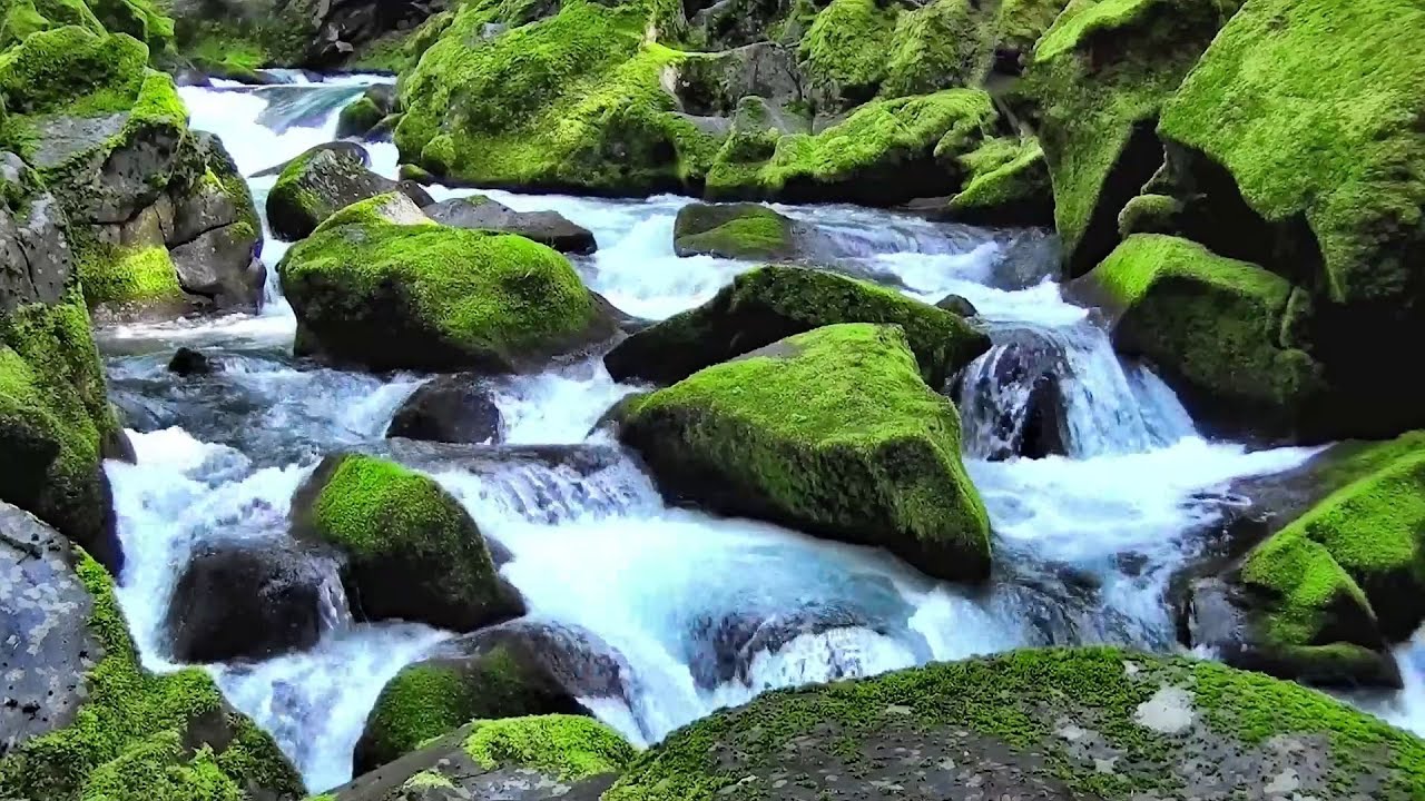 Peaceful Rocky River Nature Sounds | 6 Hours of Calming Water for Stress Relief
