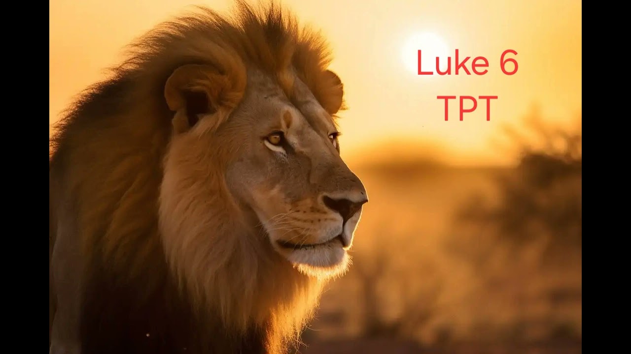 Luke 6 The Passion Translation TPT Audio Bible