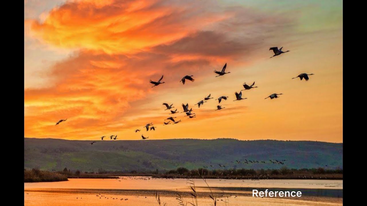 Sunset Reflections & Flying Birds | Watercolor Painting 