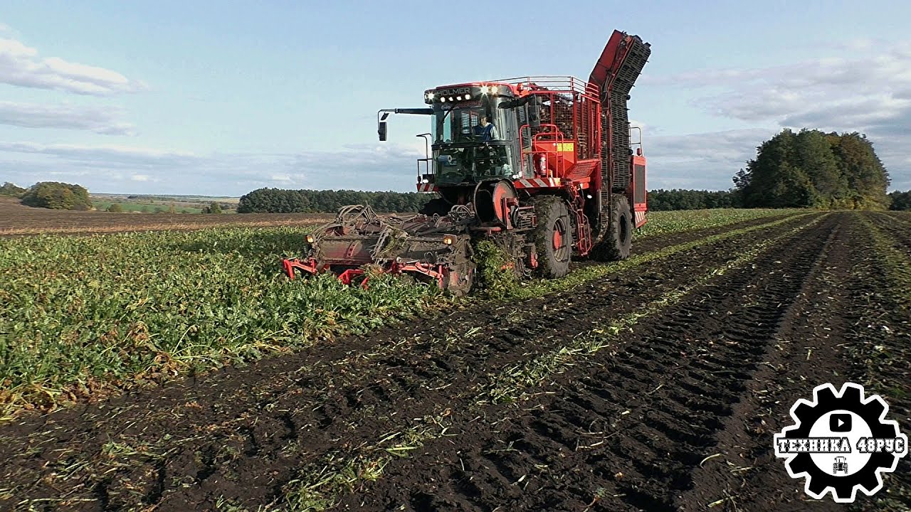 Комбайн Holmer Terra Dos T2. Уборка сахарной свёклы - Zuckerrüben und Holmer T2 harvester